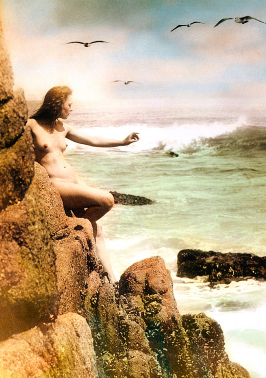 Albert Arthur Allen, nude overlooks ocean