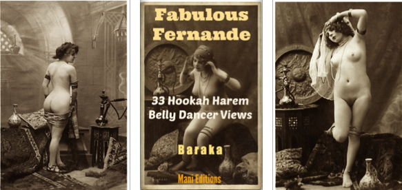 Fernande 33 Harem Views ebook by Baraka