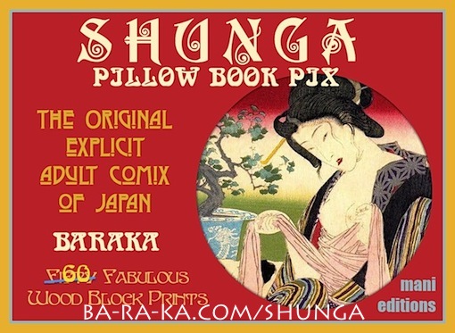 SHUNGA Erotic Pillow Book Pix ebook by Baraka